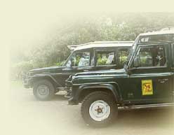Africa Safaris game drive vehicles