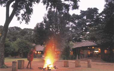 Kichwa tembo bonfire