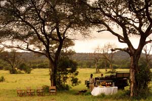 Londolozi Tree Camp