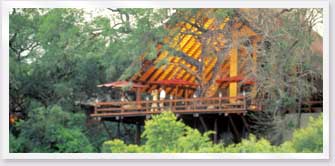 Game viewing decks at Londolozi Bateleur Camp