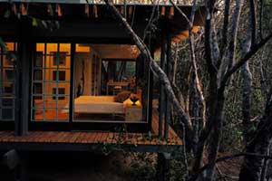 Phinda Forest Lodge