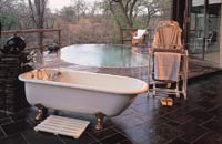 Honeymoon at Singita, Africa