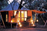 Honeymoon in Kruger National Park, Africa