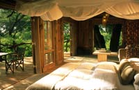 Honeymoon at Lake Manyara, Africa