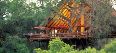 Londolozi Bateleur Camp