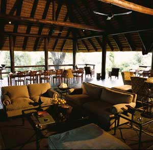  Londolozi Safari Camp