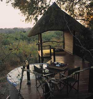 Londolozi Tree Camp