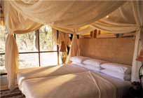 sandibe safari lodge