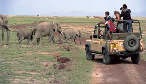 Game drive at Tortilis Amboseli